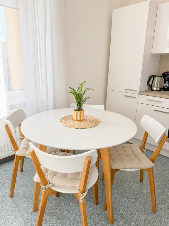 Serenity Apartments Komfort Kueche 2 in Leoben Gastgeber am Murradweg Etappe 5 2025