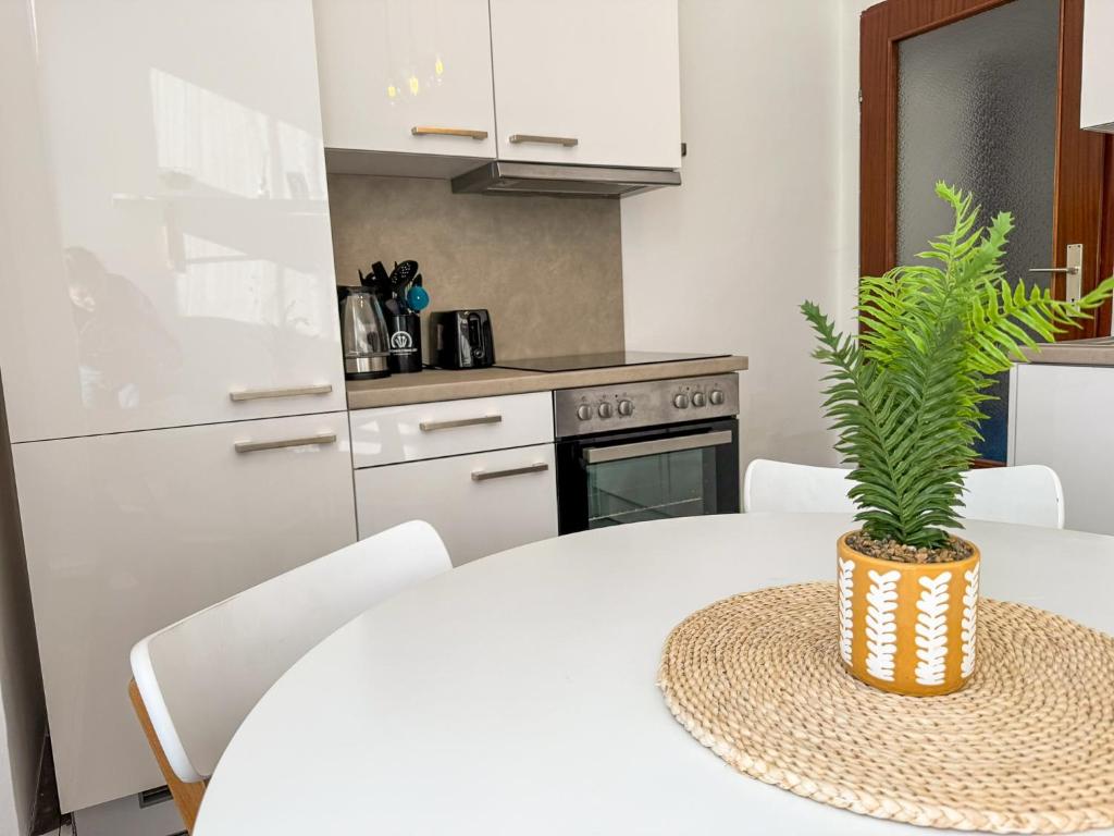 Serenity Apartments Komfort Kueche in Leoben Gastgeber am Murradweg Etappe 5 2025